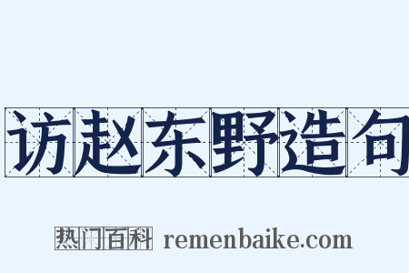 访赵东野造句是什么意思的图片